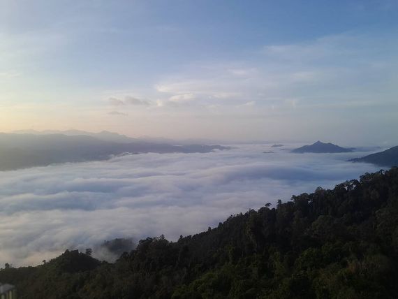 chat looking for friends 