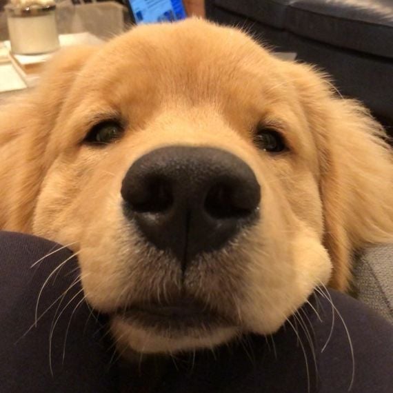 chat looking for friends