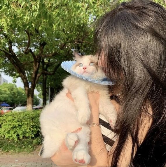 chat chat