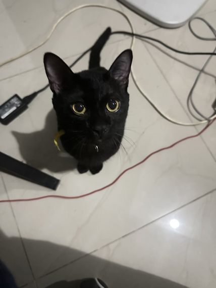 แชท หาเพื่อนคุย  ที่อยู่  สระบุรี