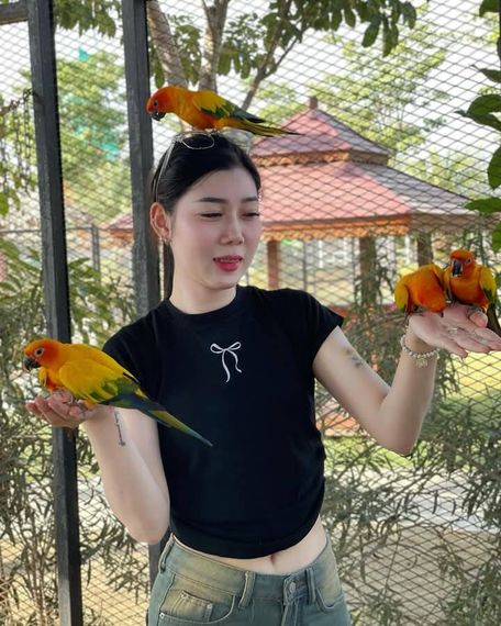 แชท หาเพื่อนคุย 