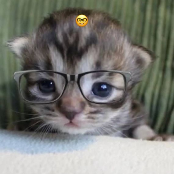 แชท หาเพื่อนคุย, หากิ๊ก 