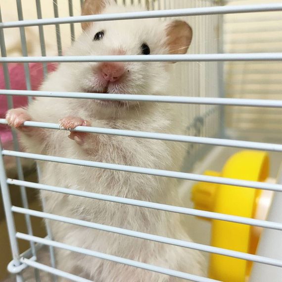 แชท หาเพื่อนคุย  ที่อยู่ กรุงเทพมหานคร