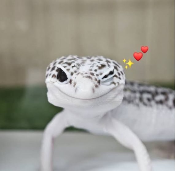 แชท โสด  ที่อยู่  นนทบุรี