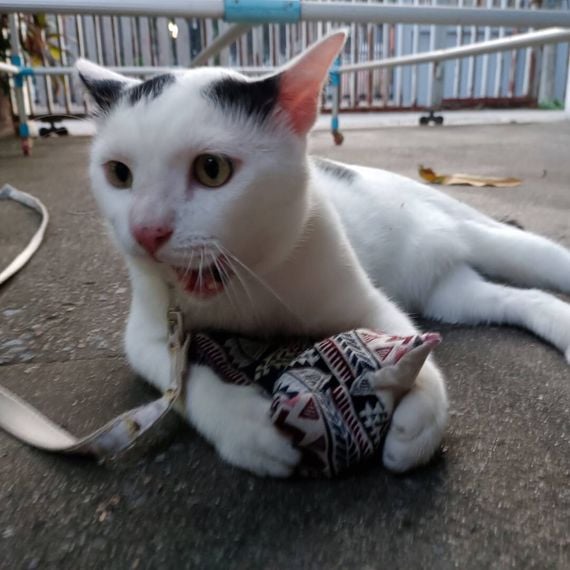 แชท หาเพื่อนคุย