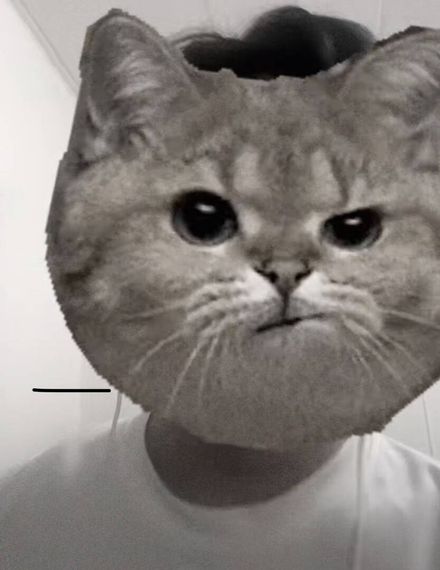 แชท หาแฟน, หาเพื่อนคุย 