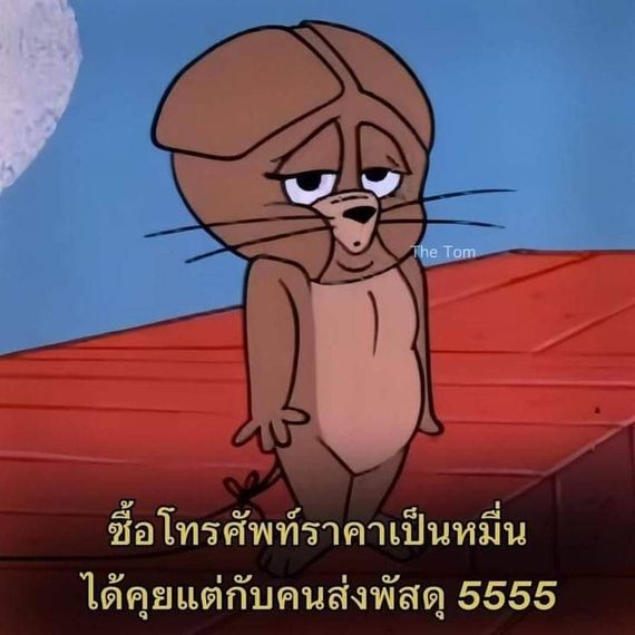 แชท หาเพื่อนคุย, โสด 
