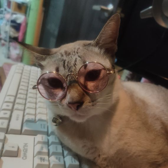 แชท หาเพื่อนคุย  ที่อยู่  สมุทรสงคราม