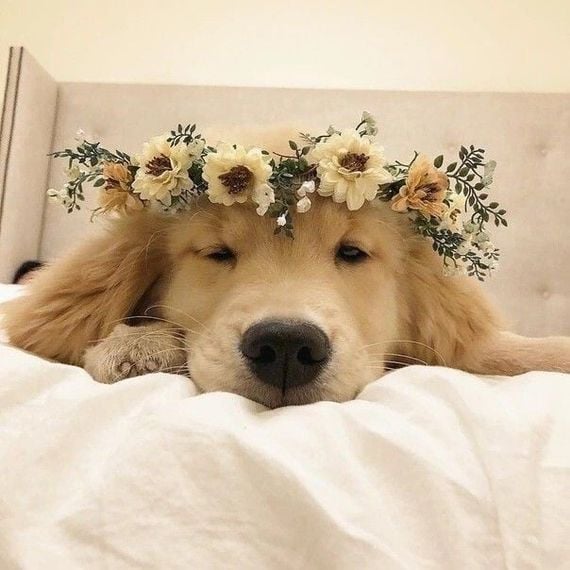 chat looking for friends