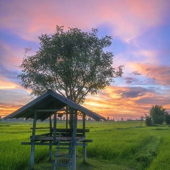 แชท หาเพื่อนคุย ที่อยู่ กรุงเทพมหานคร
