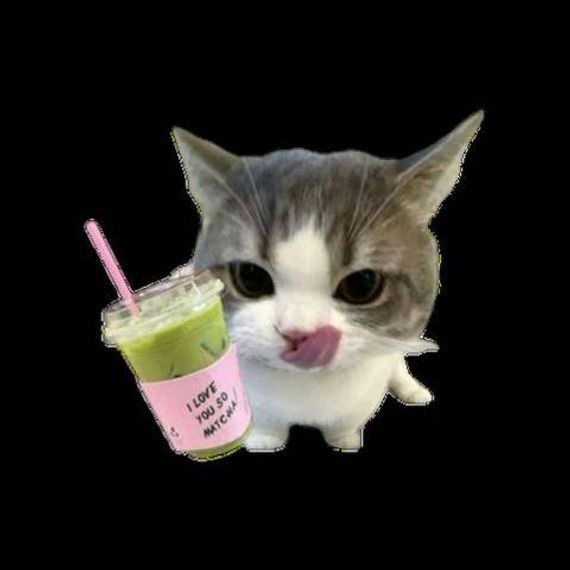 แชท หากิ๊ก 