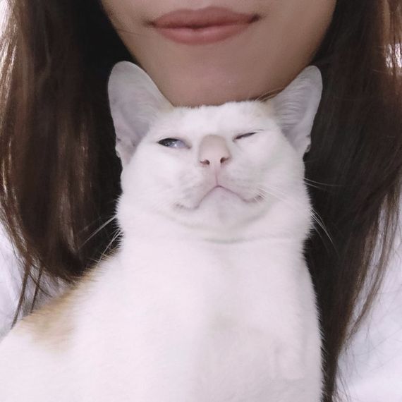 chat looking for friends 