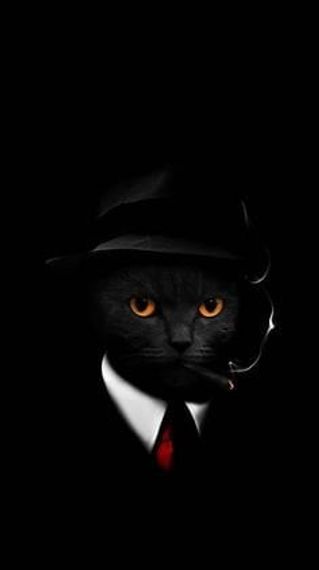 chat looking for friends