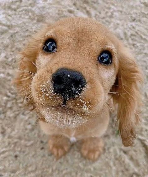 chat find love, chat  from Chiang Mai