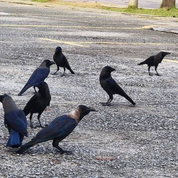 แชท หากิ๊ก  ที่อยู่ กรุงเทพมหานคร