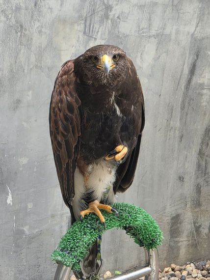 แชท หาเพื่อนคุย  ที่อยู่ กรุงเทพมหานคร