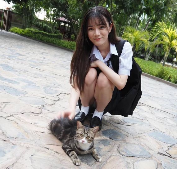 แชท หาเพื่อนคุย, โสด 