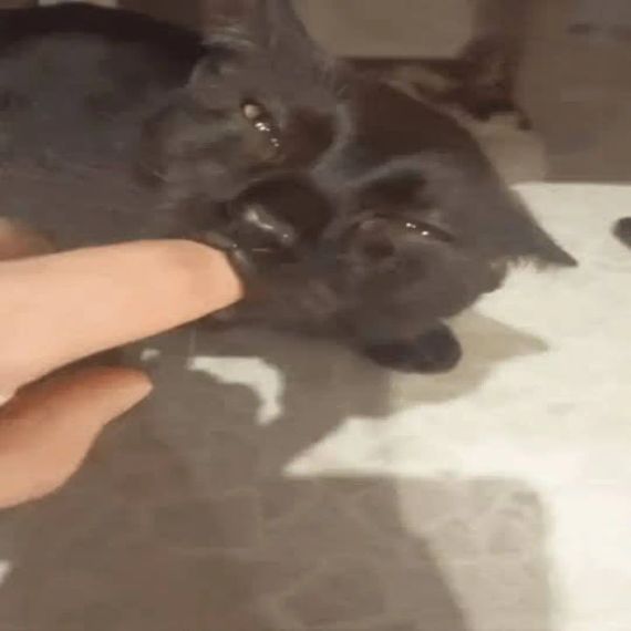 แชท หาเพื่อนคุย  ที่อยู่ กรุงเทพมหานคร