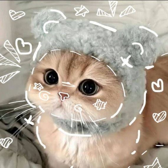 แชท หาแฟน, หาเพื่อนคุย