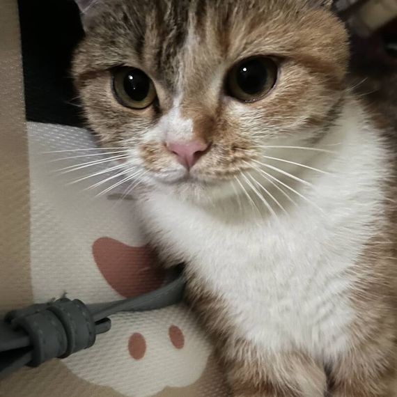 แชท หาเพื่อนคุย  ที่อยู่ กรุงเทพมหานคร