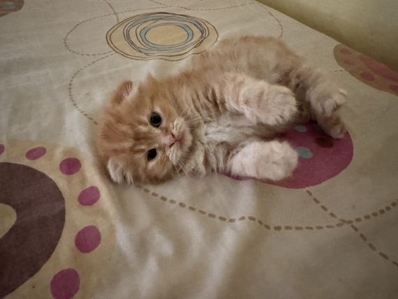 แชท หาเพื่อนคุย  ที่อยู่ กรุงเทพมหานคร