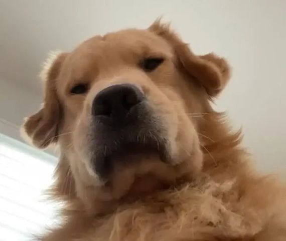 chat looking for friends 