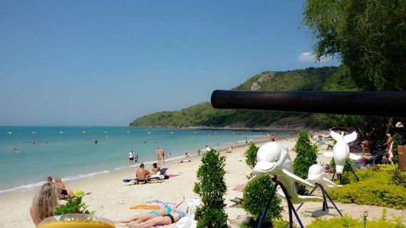 แชท หาเพื่อนคุย 