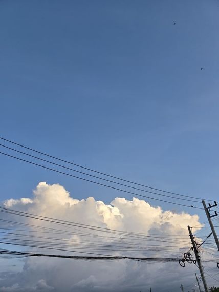 แชท โสด 