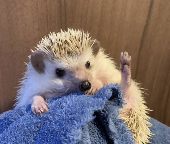 chat looking for friends 