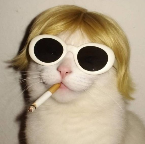 chat looking for friends 