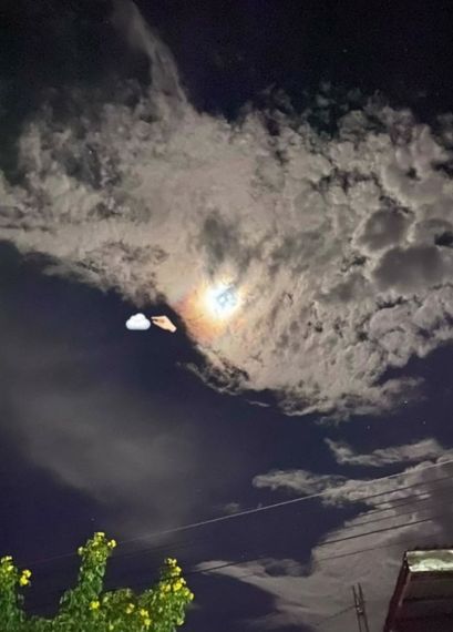 chat looking for friends 