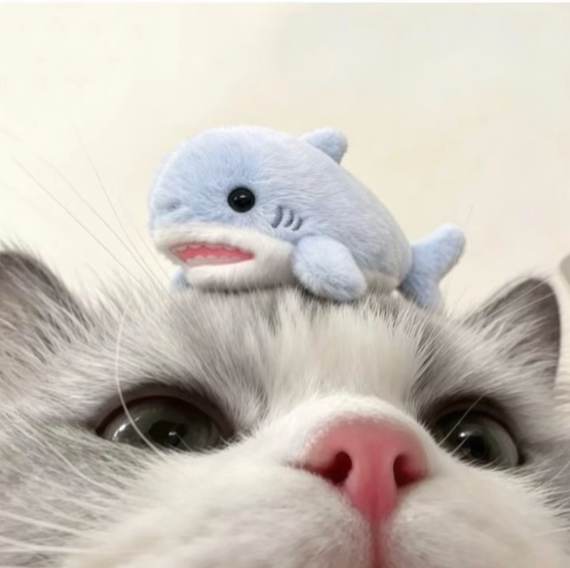 chat looking for friends 