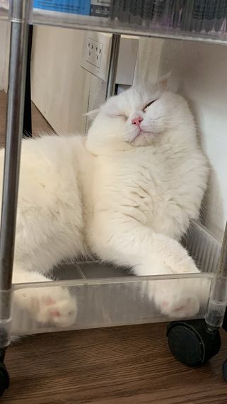 แชท หาเพื่อนคุย  ที่อยู่ กรุงเทพมหานคร