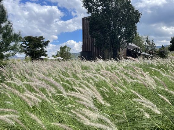 chat looking for friends 