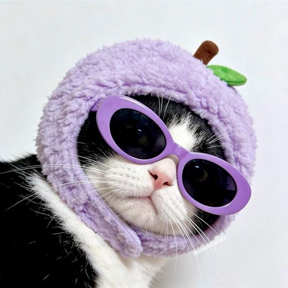 แชท หาแฟน, หาเพื่อนคุย 