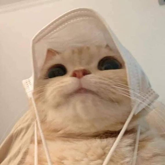 แชท หาแฟน, หาเพื่อนคุย