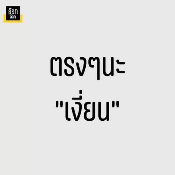 แชท แชทเปิดกล้อง 