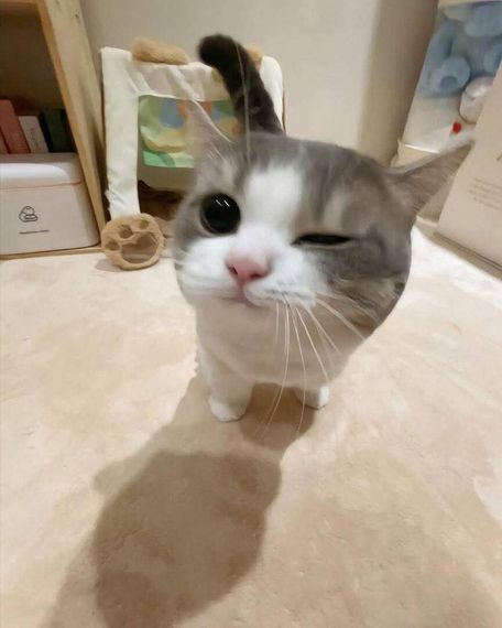 แชท หาเพื่อนคุย  ที่อยู่ กรุงเทพมหานคร