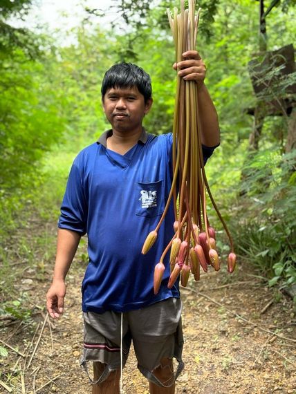 chat looking for friends 