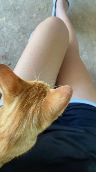 chat looking for friends  from Chiang Mai