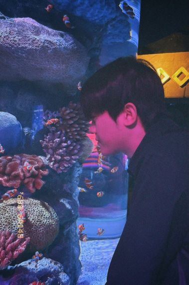 แชท หาเพื่อนคุย  ที่อยู่ กรุงเทพมหานคร