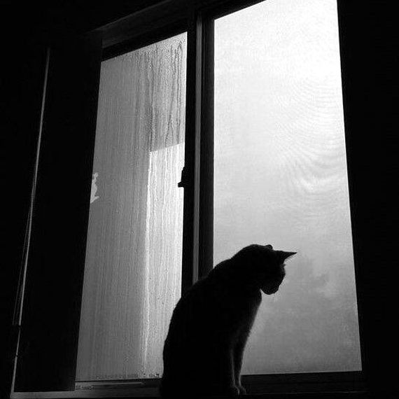 แชท หาเพื่อนคุย, หากิ๊ก 