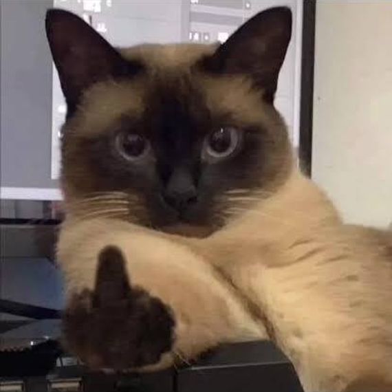 แชท หากิ๊ก, โสด  ที่อยู่ กรุงเทพมหานคร