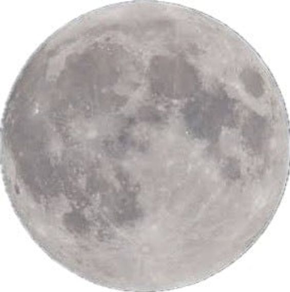 แชท หาแฟน, โสด 