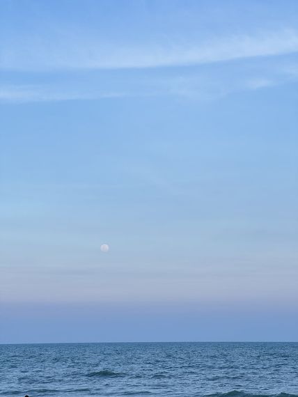 chat looking for friends 