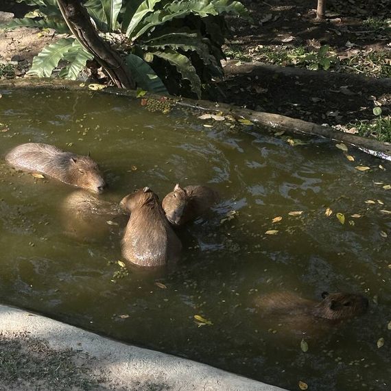 แชท หาเพื่อนคุย, หาเพื่อนเที่ยว 