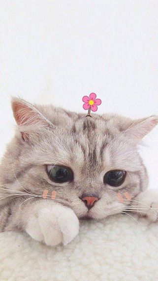 แชท หาเพื่อนคุย, หาเพื่อนเที่ยว