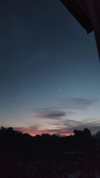 แชท หาแฟน, โสด 