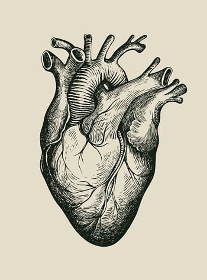 chat looking for friends 