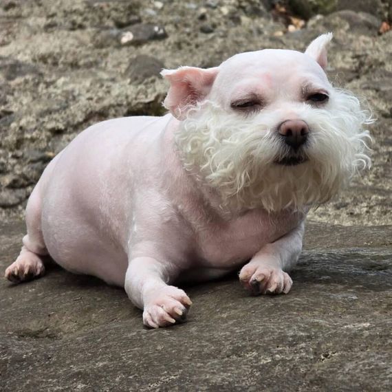 แชท หาเพื่อนคุย, หาเพื่อนเที่ยว 